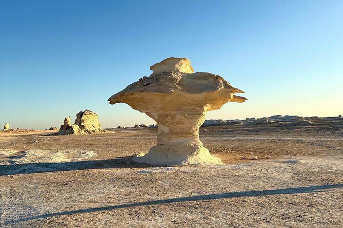 White Desert Awaits Ultimate Safari Adventure - Final Thoughts: Who Should Take This Tour?