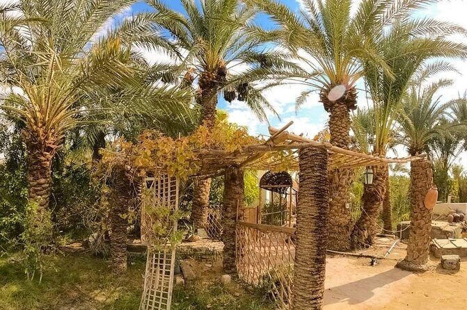 White Desert & Bahariya oasis 3 days 2 nights Tour from Cairo - FAQ