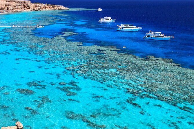 White Island & Ras Mohamed Boat Trip & Diving , lunch from Sharm - Final Thoughts