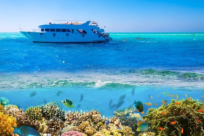 White Island & Ras Mohamed Boat Trip & Diving , lunch from Sharm - Frequently Asked Questions