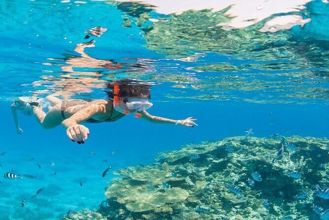 White Island & Ras Mohamed: Full-Day Snorkeling Adventure - Practical Tips for the Trip