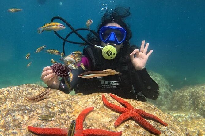 White Island & Ras Mohamed Full day with Lunch in Sharm El Sheikh - Transparency & Practical Details