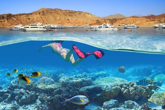 White Island & Ras Mohammed: Full-Day Sea Adventure - Back to Sharm: Scenic Coastline Views