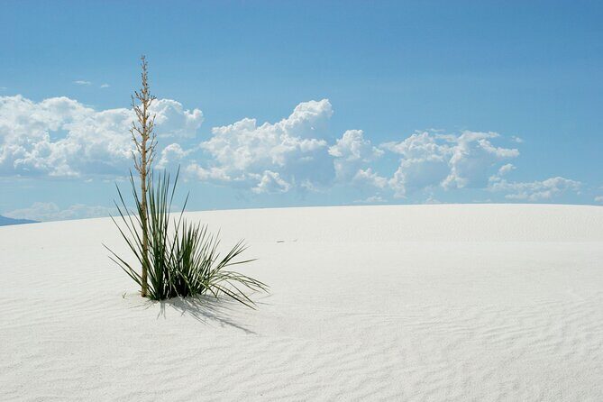 White Sands National Park Self-Guided Audio Tour - FAQs
