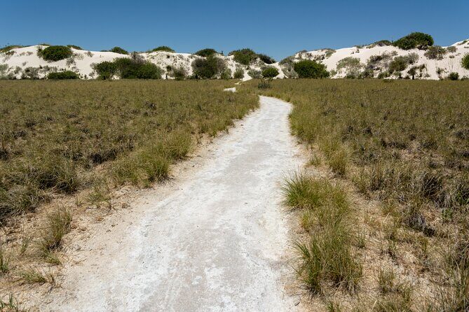White Sands National Park Self-Guided Driving & Walking Tour - Real Traveler Insights