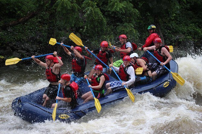 White Water Rafting Experience on the Upper Pigeon River - What Makes the Pigeon River White Water Experience Special?