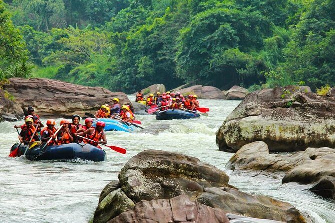 White Water Rafting in Kitulgala - Who Will Enjoy This Tour Most?