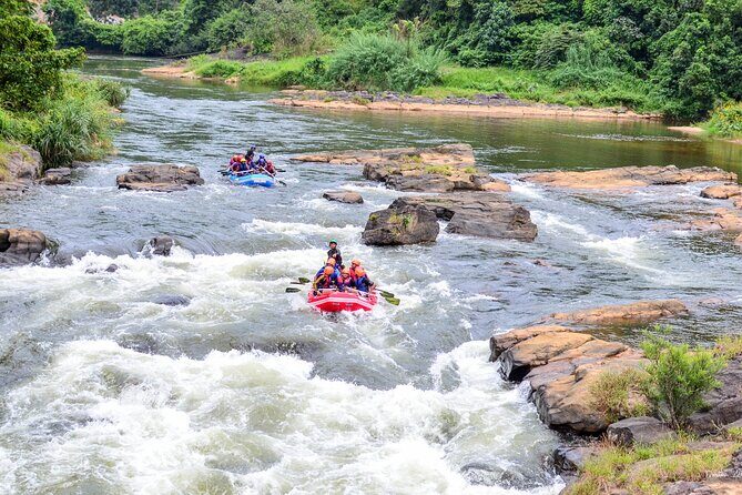 White Water Rafting Kitulgala - Authentic Feedback from Participants