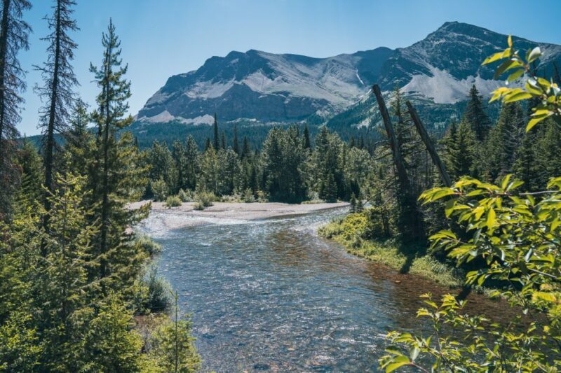 Whitefish: Private East Glacier & Two Medicine Driving Tour - Who Is This Tour Best For?