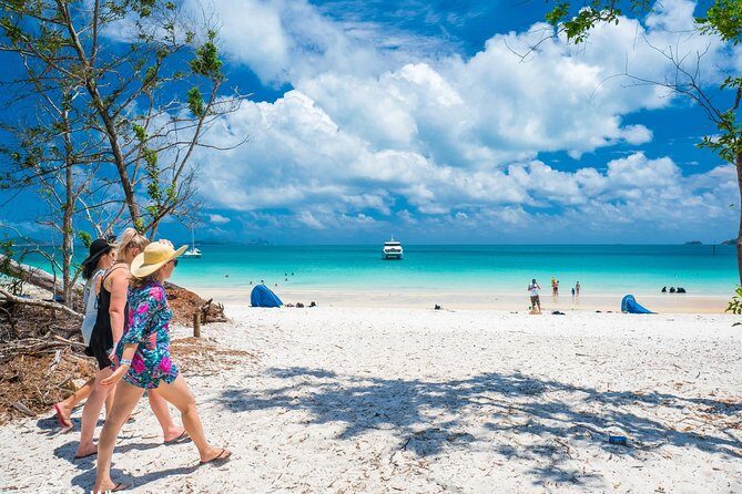 Whitehaven Beach Morning or Afternoon Tour - Practical Tips for Travelers