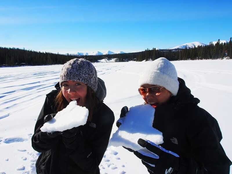 Whitehorse: Half-Day Snowshoeing Tour - Practical Tips for Participants