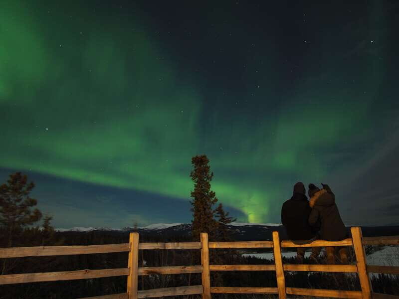 Whitehorse: Luxury Northern Lights Viewing - The Value of the Tour