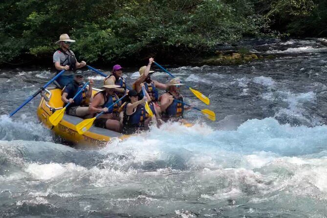 Whitewater Rafting on The McKenzie River - An Introduction to the McKenzie River Rafting Experience