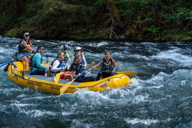 Whitewater Rafting on The McKenzie River - Pricing and Value