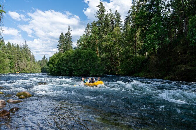 Whitewater Rafting on The McKenzie River - Cancellation and Booking Flexibility