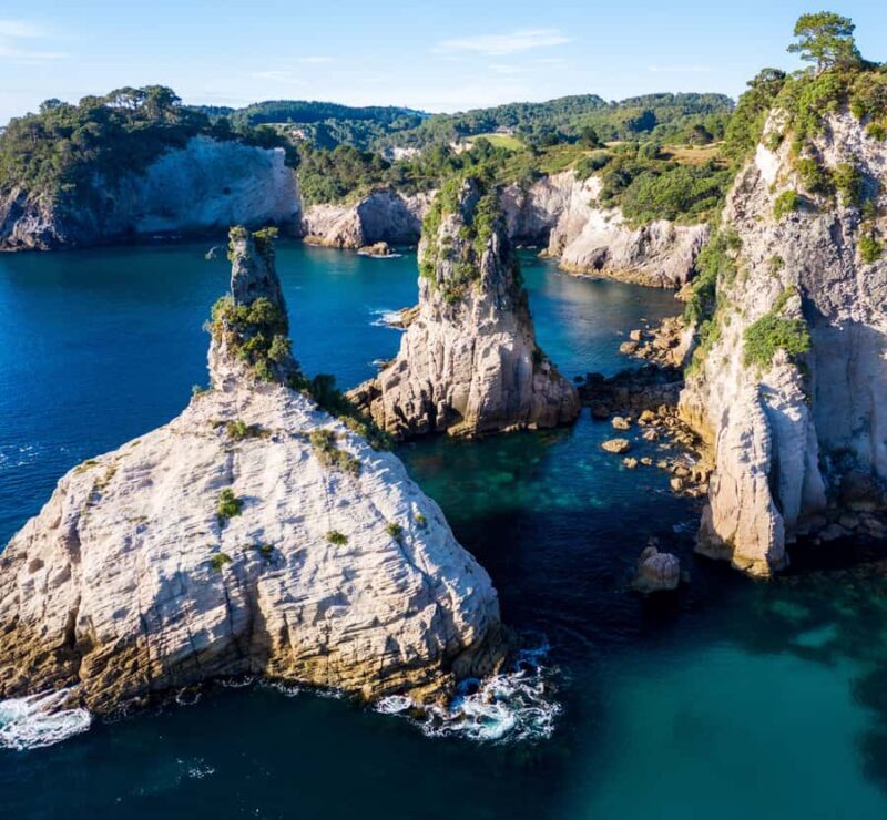 Whitianga: 2-Hour Cathedral Cove and Volcanic Coast Cruise - Wildlife Watching & Natural Wonders