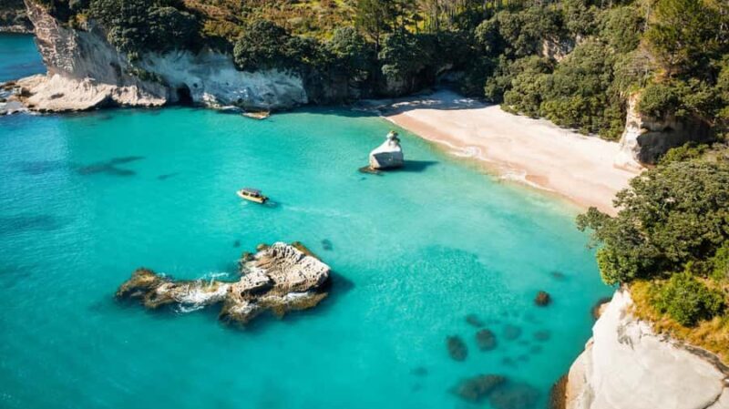 Whitianga: 2-Hour Cathedral Cove and Volcanic Coast Cruise - The Guide and the Experience