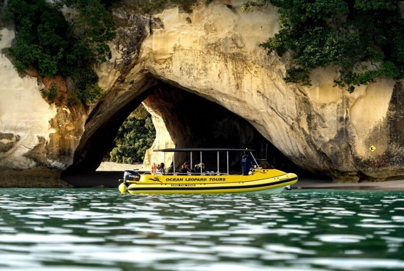 Whitianga: 2-Hour Cathedral Cove and Volcanic Coast Cruise - Practical Details and Value