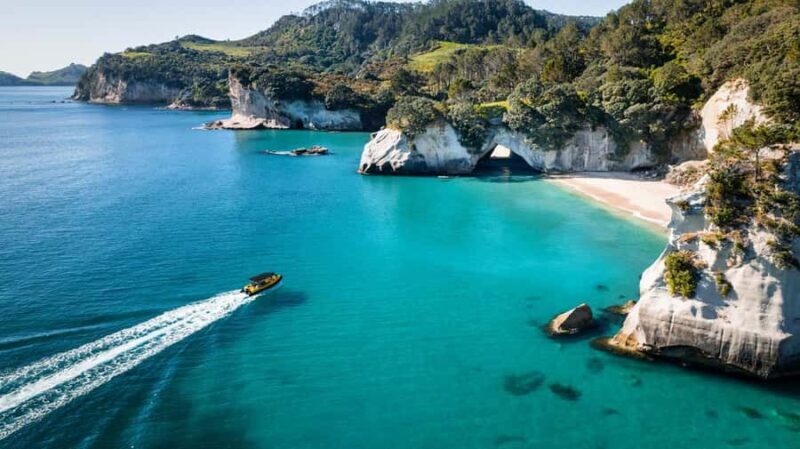 Whitianga: 2-Hour Cathedral Cove and Volcanic Coast Cruise - Who Will Love This Tour?