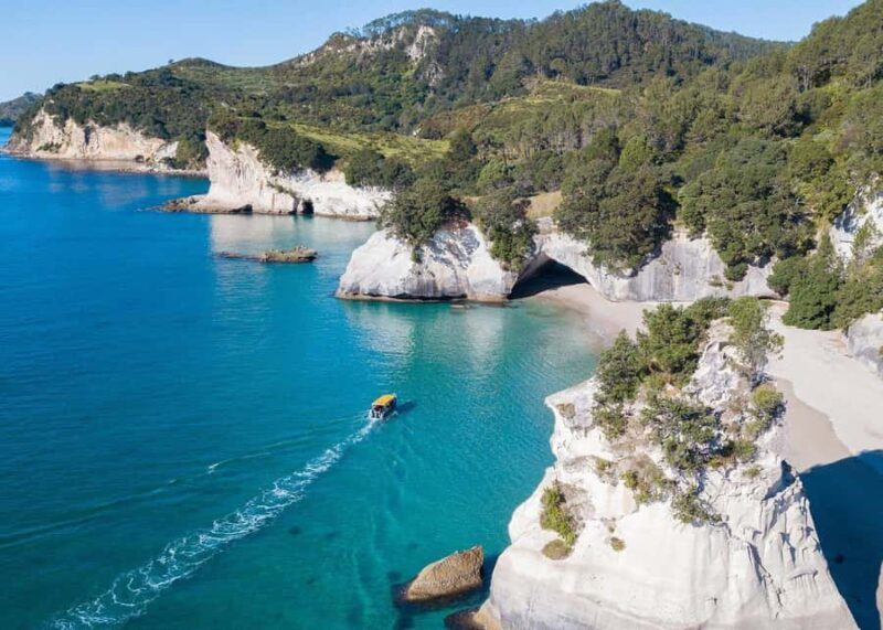 Whitianga: 2-Hour Glass Bottom Boat Cathedral Cove Tour - The Experience for Different Travelers