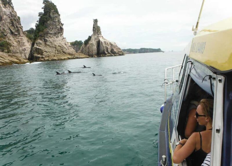 Whitianga: 2-Hour Glass Bottom Boat Cathedral Cove Tour - FAQ