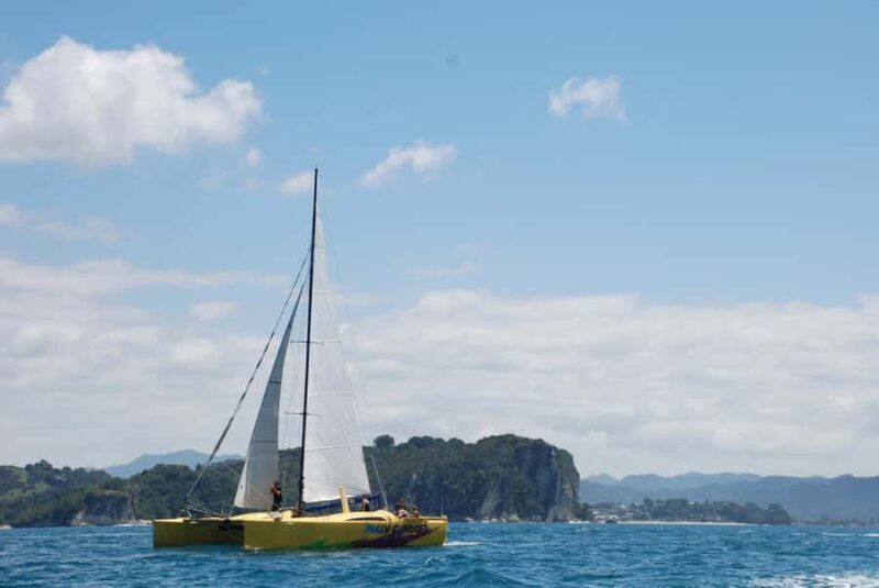 Whitianga: Sailing Trip to Cathedral Cove - Practicalities: What to Know Before You Book