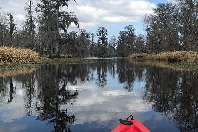 Whitney Plantation and Manchac Swamp Kayak Tour Combo - Practical Tips
