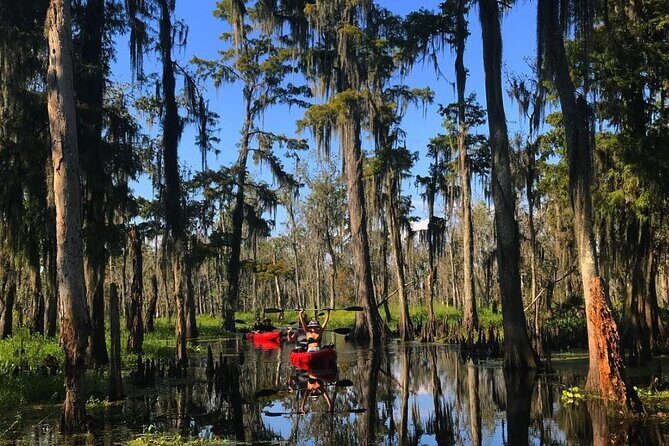 Whitney Plantation and Manchac Swamp Kayak Tour Combo - Who Should Consider This Tour?
