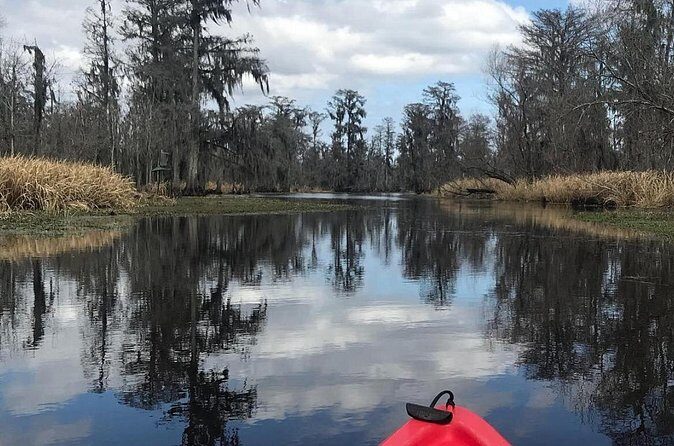 Whitney Plantation and Manchac Swamp Kayak Tour Combo - The Sum Up: Is This Tour Worth It?