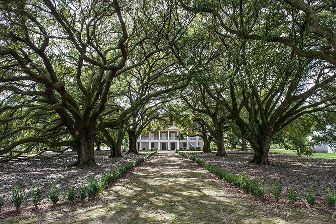 Whitney Plantation Tour with Transportation from New Orleans - Final Thoughts: Who Should Consider This Tour?