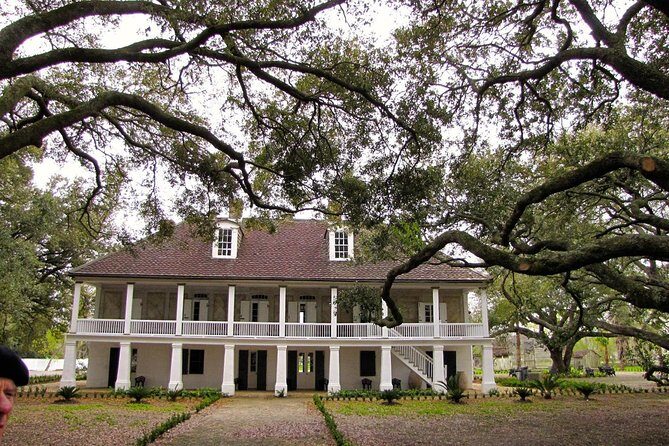 Whitney Plantation Tour with Transportation from New Orleans - In The Sum Up