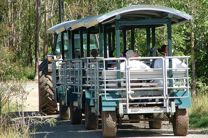 Whitsunday Crocodile Safari - Key Points