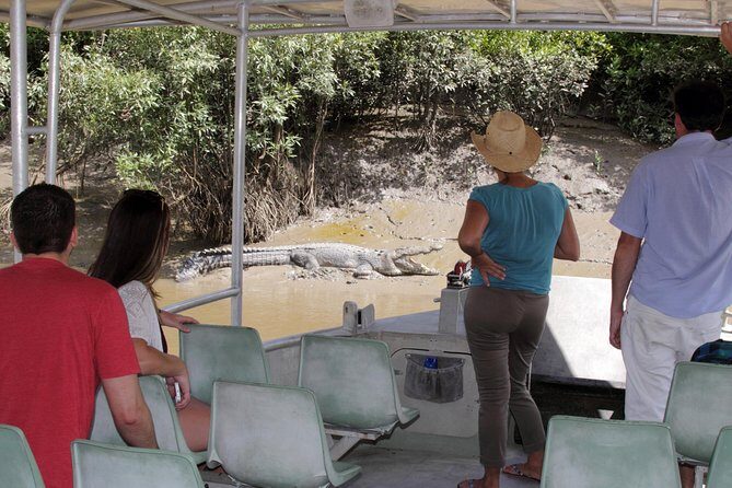 Whitsunday Crocodile Safari - Practical Details: Making the Most of Your Day