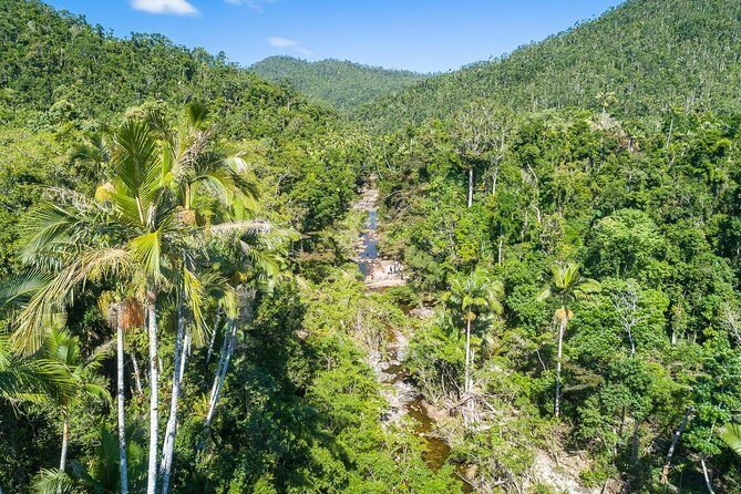 Whitsunday Segway Rainforest Discovery Tour - Whitsunday Segway Rainforest Discovery Tour: An In-Depth Review