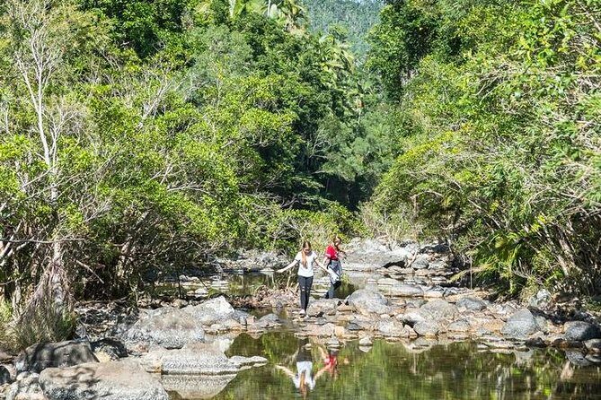 Whitsunday Segway Rainforest Discovery Tour - Why This Tour Is Worth Considering