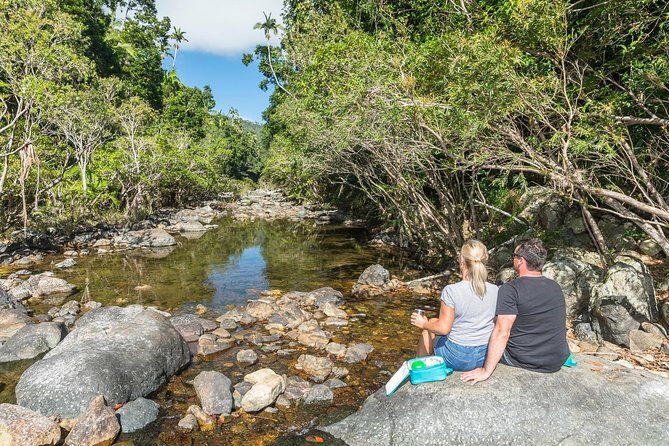 Whitsunday Segway Rainforest Discovery Tour - What to Expect on the Day