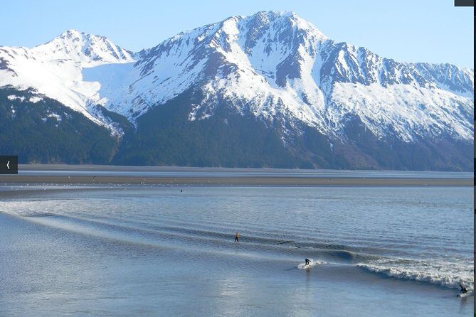 Whittier to Anchorage Cruise Transfer and Private Tour - Who Will Love This Tour?