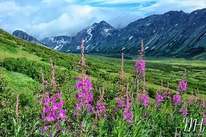 Whittier to Anchorage Half Day Transit Tour From the Port - The Bottom Line: Who Will Love This Tour?