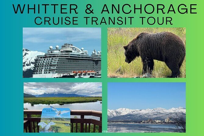 Whittier to Anchorage Land Transfer Tour With AWCC - What to Expect on the Tour