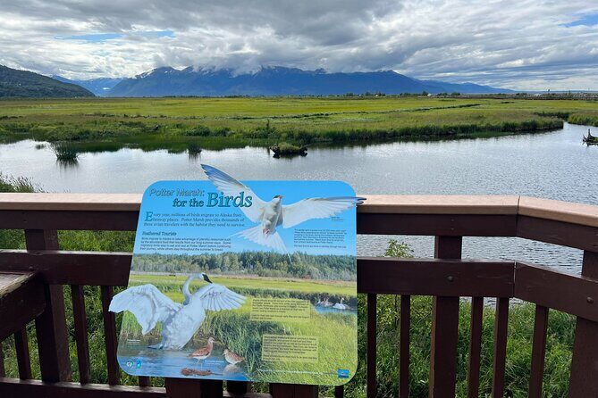 Whittier to Anchorage Land Transfer Tour With AWCC - Value & Practical Considerations