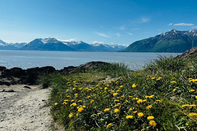 Whittier to Anchorage Land Transfer Tour With AWCC - Final Thoughts