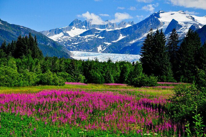 Whittier to Anchorage Post Cruise Wildlife Glacier Tour - An In-Depth Look at the Itinerary