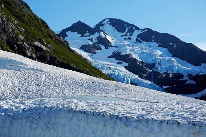 Whittier to Anchorage Post Cruise Wildlife Glacier Tour - Is This Tour Right for You?