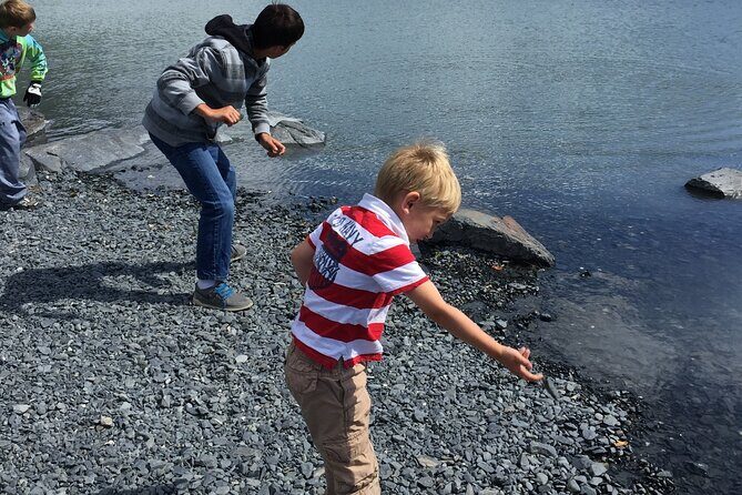Whittier to Anchorage Sightseeing with Wildlife Tour - Key Points