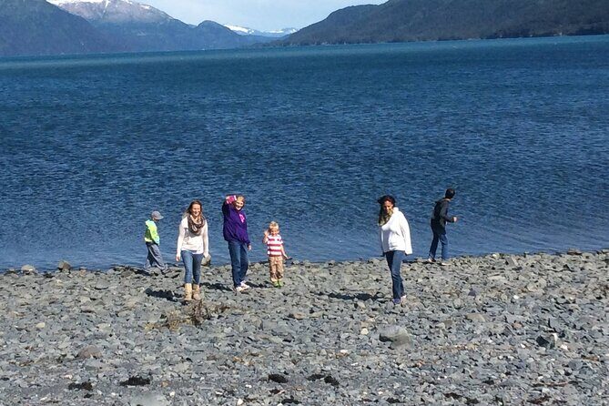 Whittier to Anchorage Sightseeing with Wildlife Tour - Who Will Enjoy This Tour?