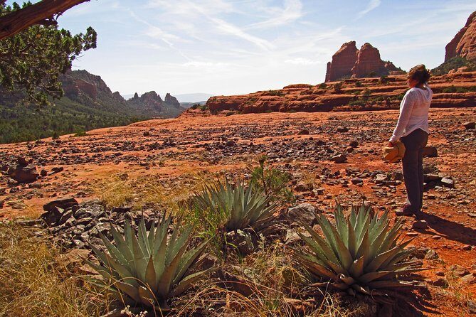 Whole-Day Sedona Vortex Experience - Practical Considerations