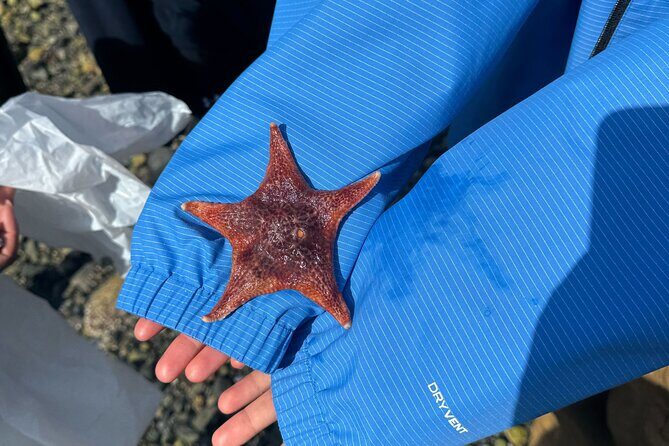 Whytecliff Park Indigenous Salish Sea Walking Tour - Exploring the Itinerary in Detail
