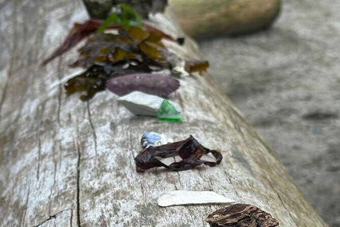 Whytecliff Park Indigenous Salish Sea Walking Tour - The Sum Up