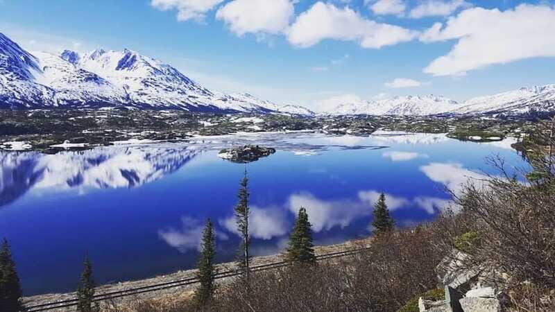 Wild Adventure Yukon + Summit Tour - The Scenic Stops and Wildlife Encounters
