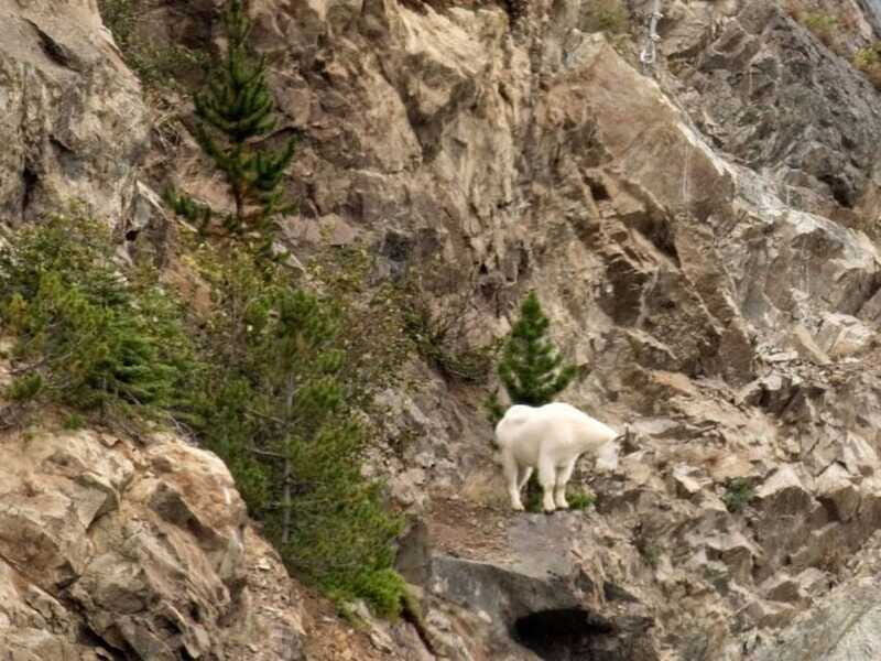Wild Adventure Yukon + Summit Tour - The Wild Adventure Yukon Experience